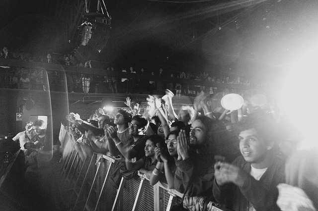 lidé na kocertě